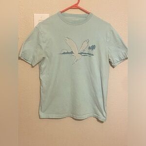 Aqua Blue American Eagle T-Shirt